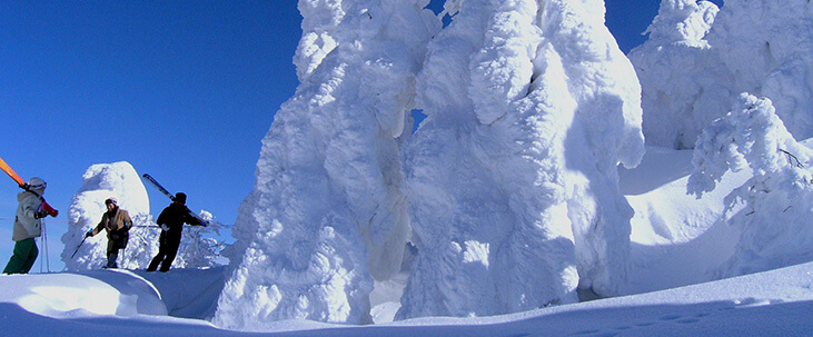 Soft Rime of Mt. Moriyoshi